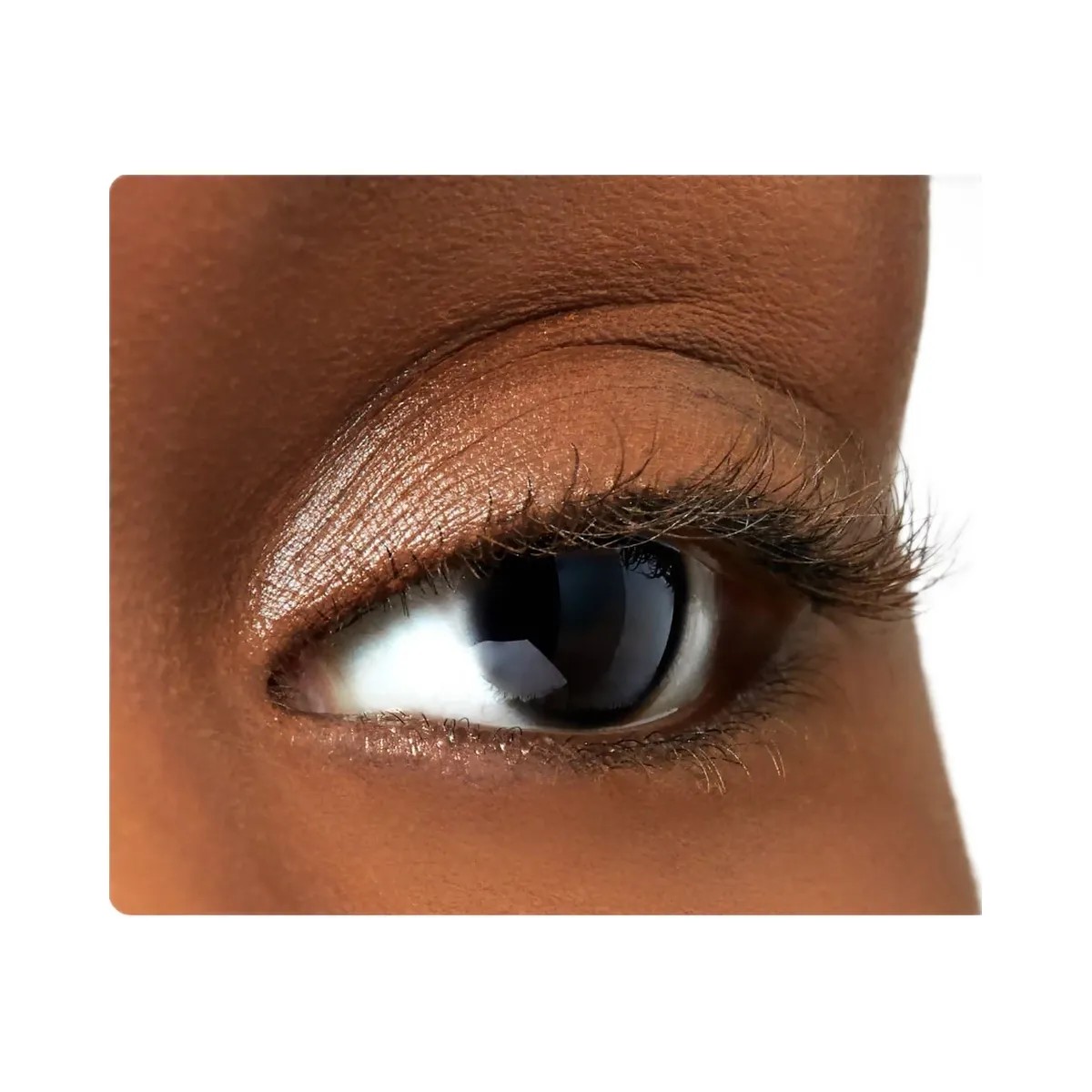 Tarte Lights Camera Lashes 4 Piece Collectors Vault - HypeFly India View 5